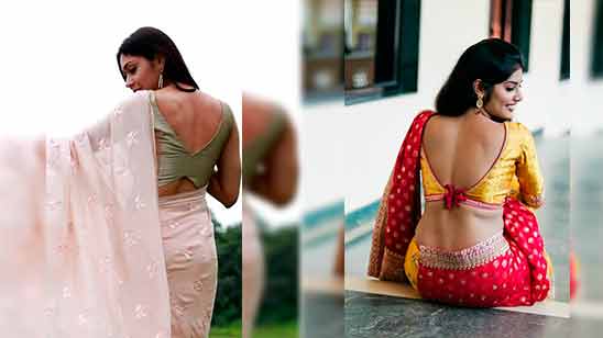 Border Silk Saree Blouse Back Design
