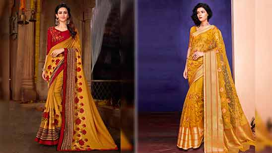 Big Border Silk Saree Blouse Designs