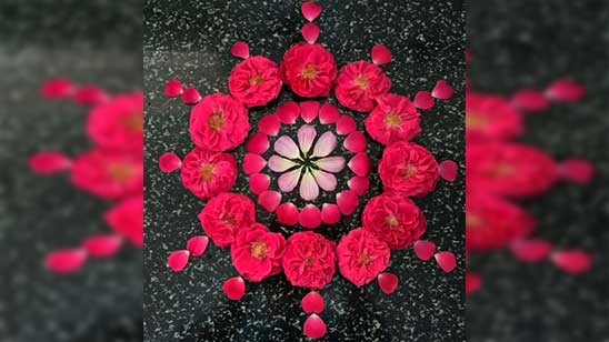 Peacock Rangoli Designs with Flowers for Beginners