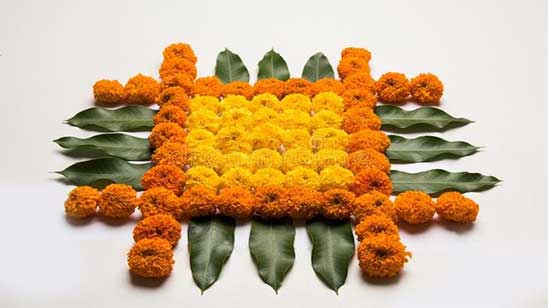 Rangoli Flower Design Simple