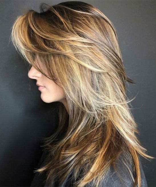 Brown Hair Colors Ideas for Girls After Highlighting
