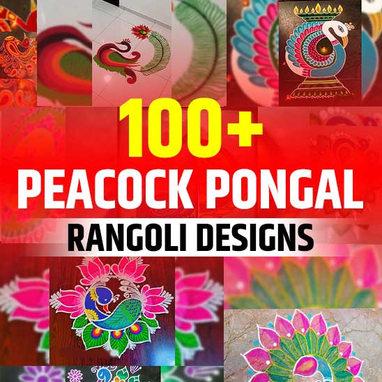 Peacock Rangoli for Pongal