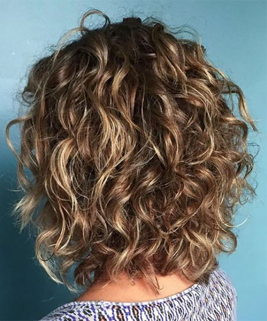 Simple Indian Hairstyles for Short Curly Hair