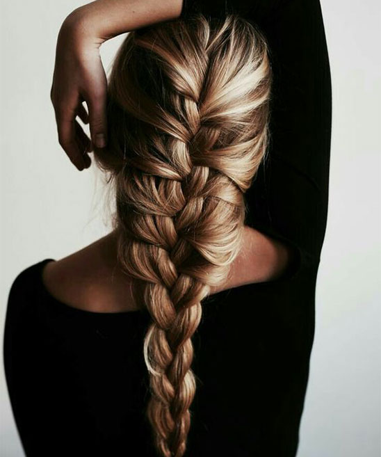 Double French Braid Hairstyles