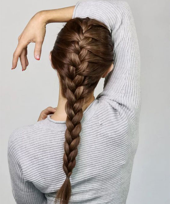 French Braid Hairstyles Two Braids