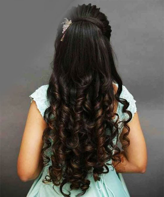 Hair Style for Wedding Saree (3)