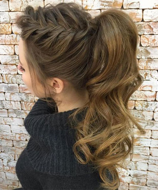Easy High Ponytail Hairstyles