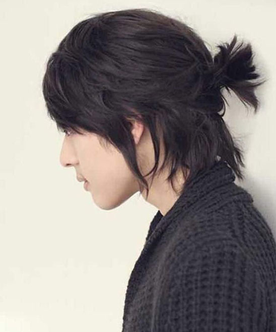 Hairstyle Ponytail for Men