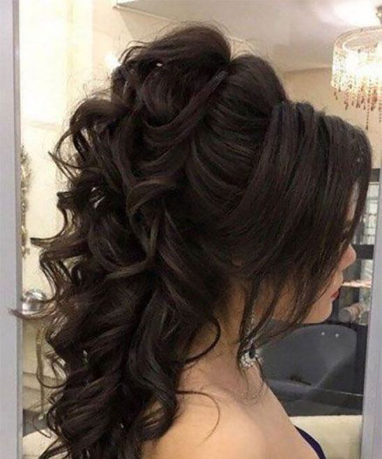 Indian Ponytail Hairstyle