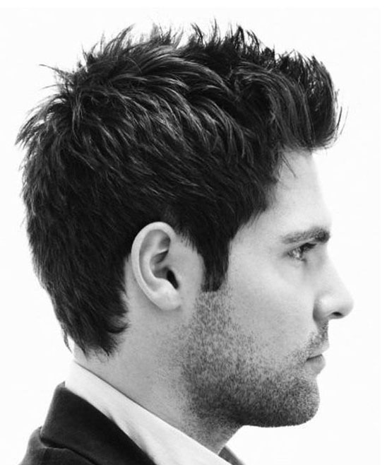 Oval Hairstyles Male