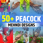 Peacock Feather Mehndi Design