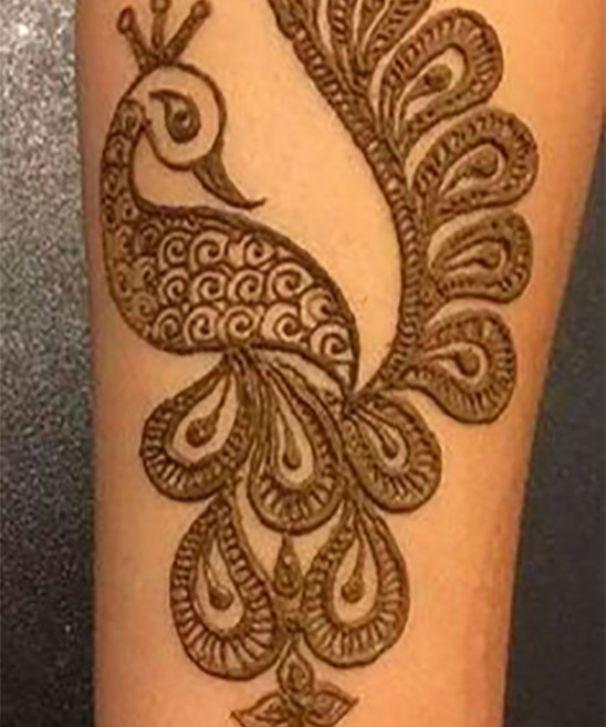 Peacock Simple Mehndi Design