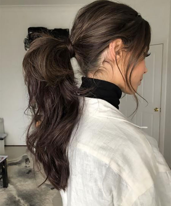 Ponytail Hair Clip