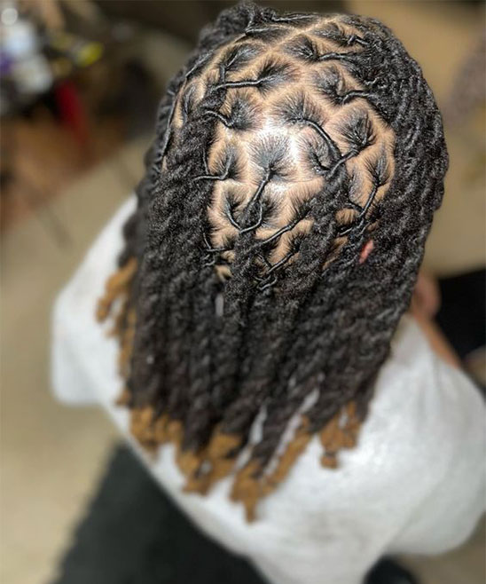 2 Strand Twist Out