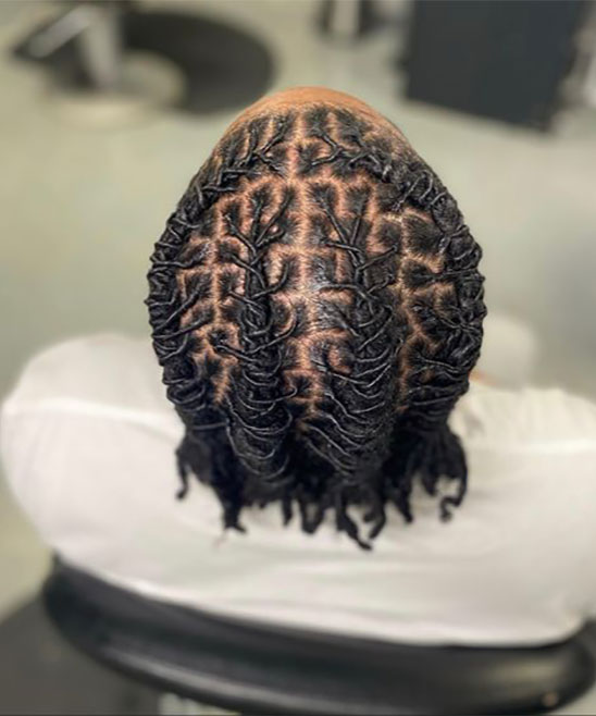 2 Strand Twist with Weave