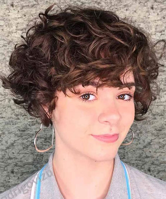 Black Womens Short Curly Hairstyles