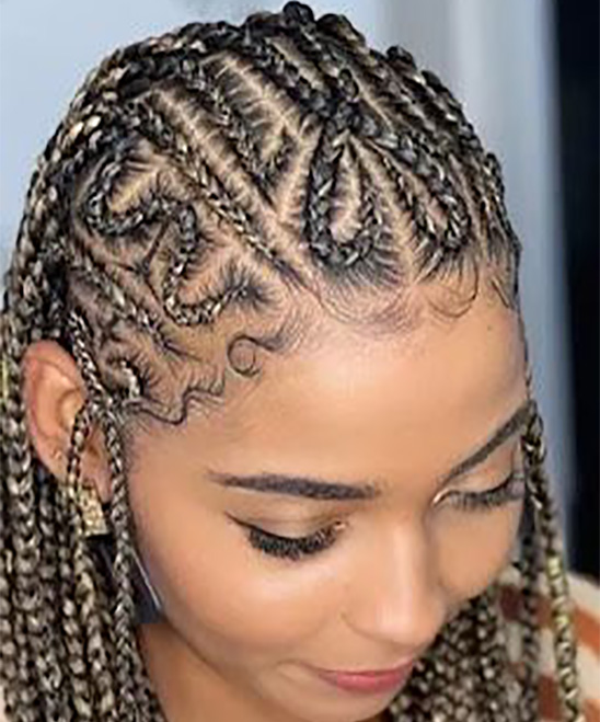 Braids Hairstyles for