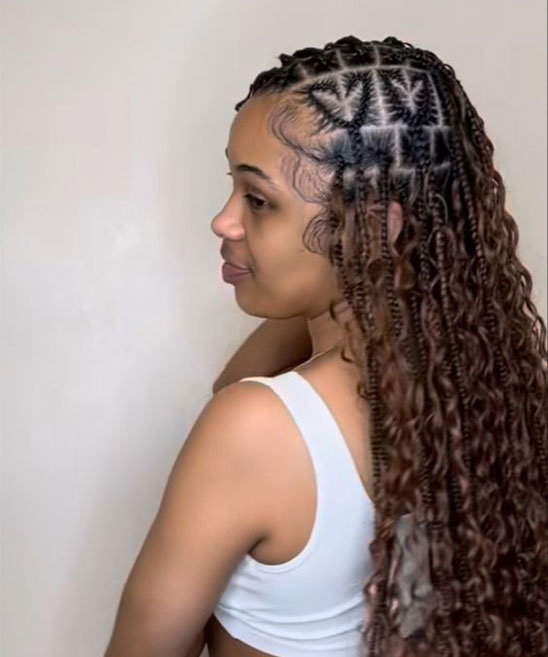 Butterfly Locs Hairstyles