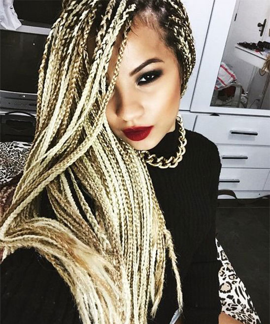 Different Hairstyles for Box Braids