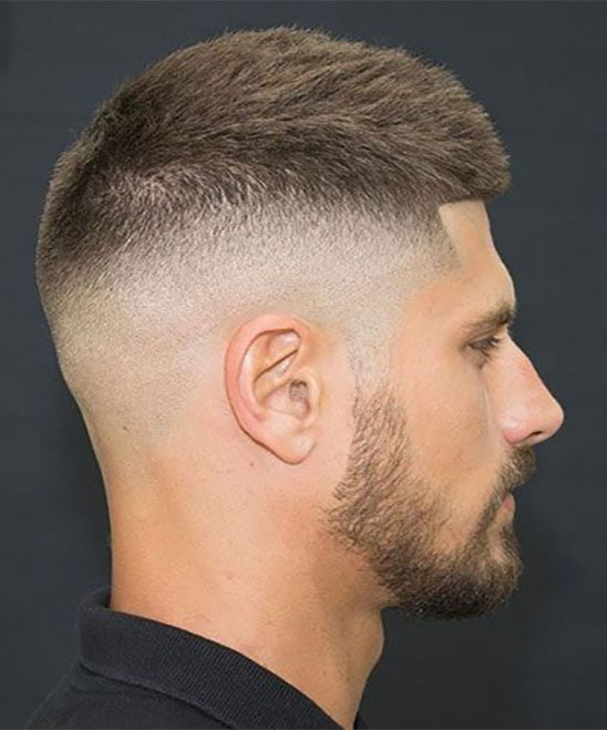 High and Tight Haircut Pictures