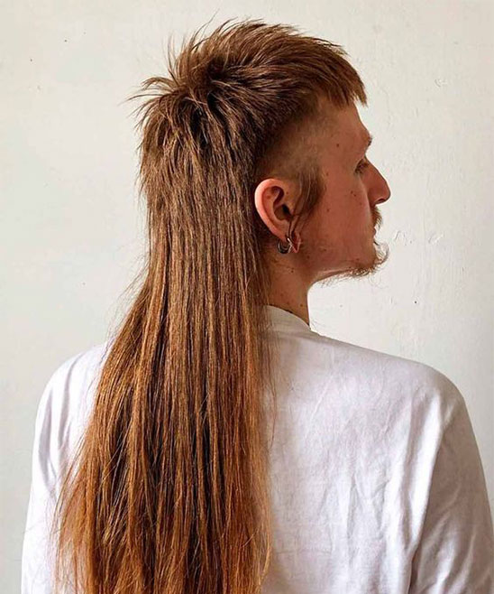 Mens Curly Mullet Hairstyles