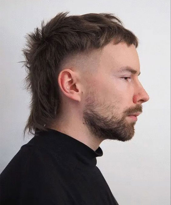 Mullet Wolf Cut Hairstyle