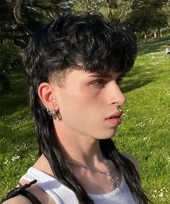 Pictures of Mullets Hairstyles