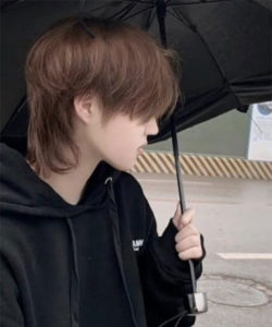 100+ Mullet Haircut (2026) Mens - TailoringinHindi