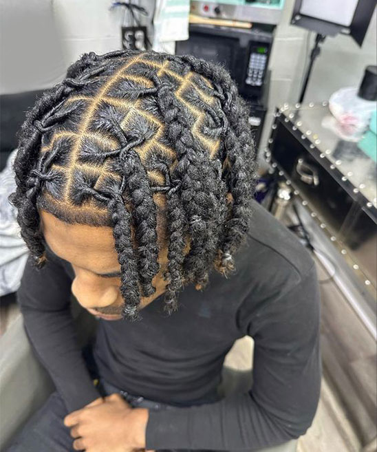 Two Strand Twist Starter Locs Before and After