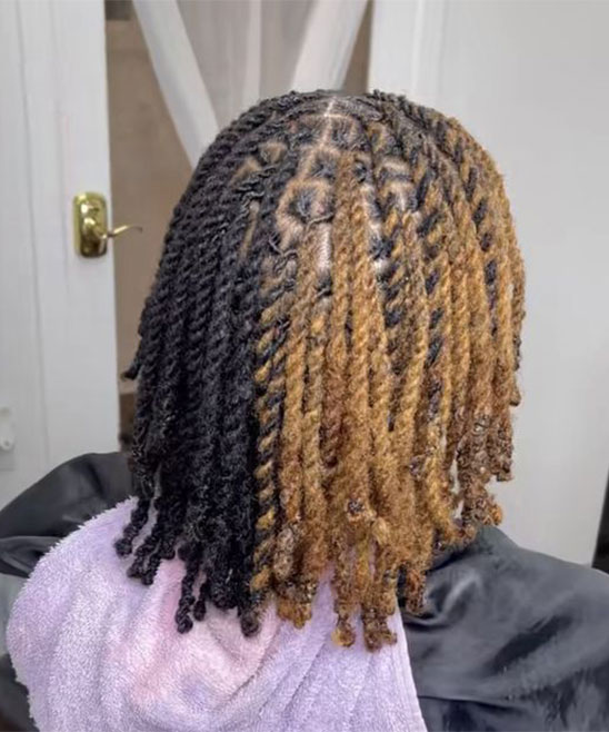 Two Strand Twist with Fade