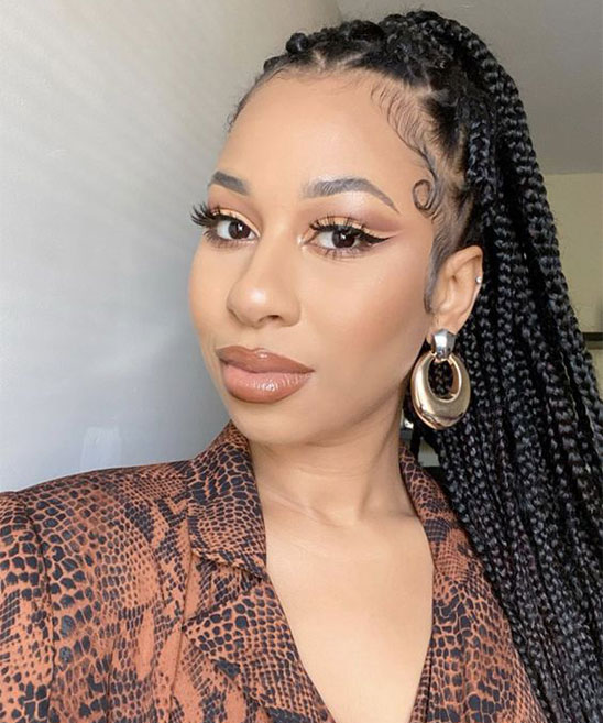 Updo Hairstyles With Box Braids