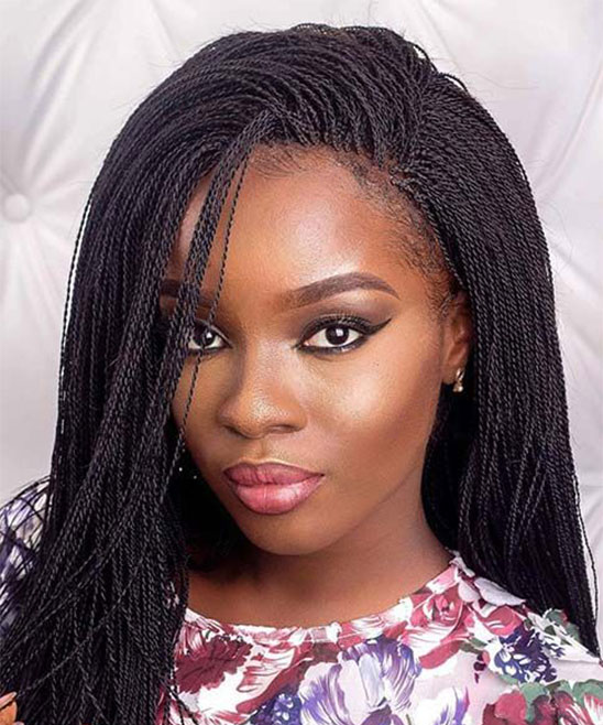 Hairstyles with Micro Braids