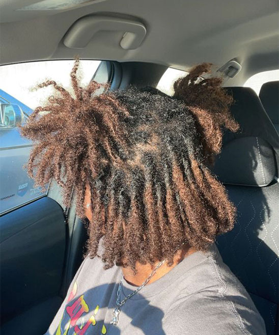 Starter Locs with Extensions