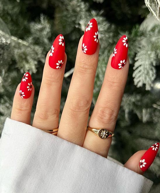 Elegant Dark Red Nail Designs