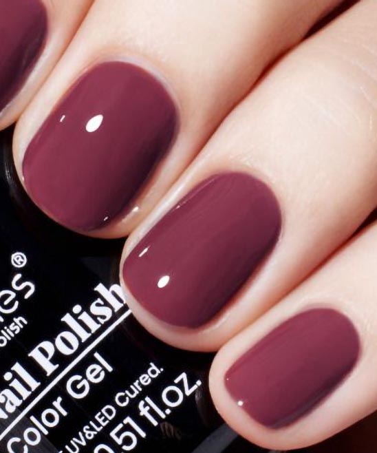 50+ Winter 2024 Nail Colors TailoringinHindi