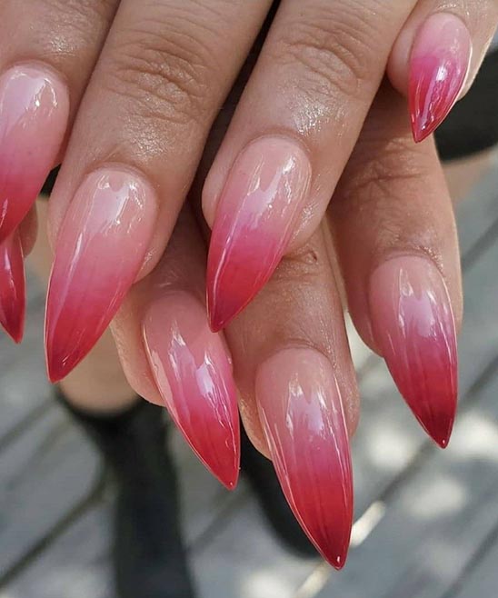 Animal Print Designs for Nails