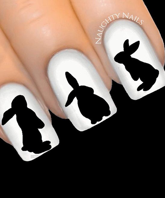How Many Nails Are on the Back Paws of Bunnies