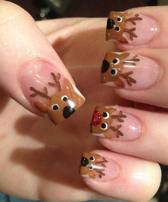 Reindeer Hoof Nails Curled Up