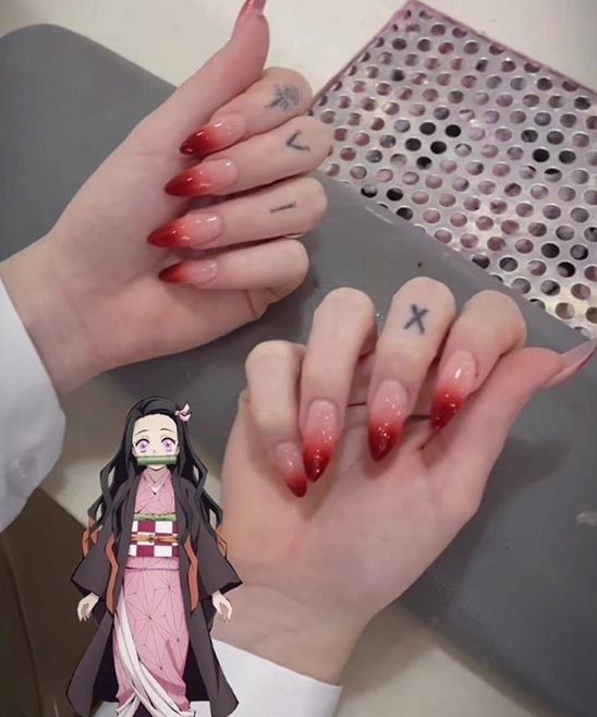 Sharp Curved Nails on an Animal's Foot