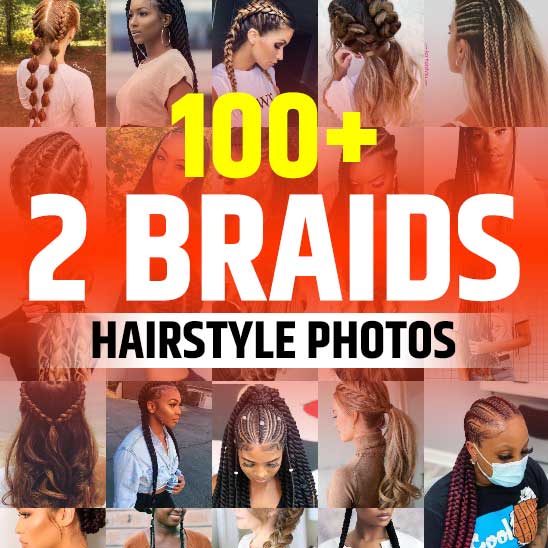 2 Braids Hairstyles