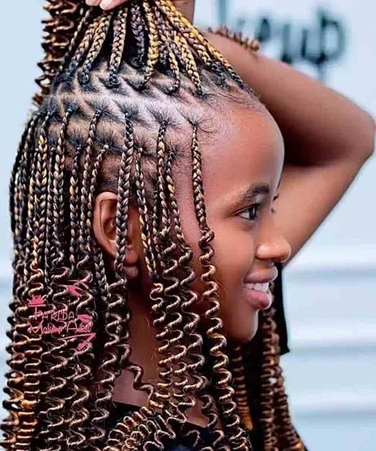 Black Braids Hairstyles