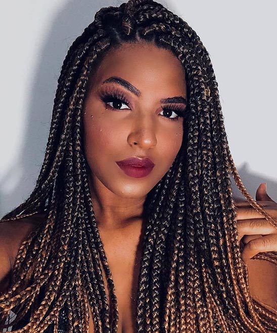 Black Girl Hairstyles Braids