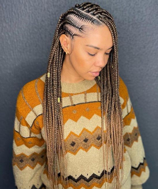 Braid Half Up Hairstyles