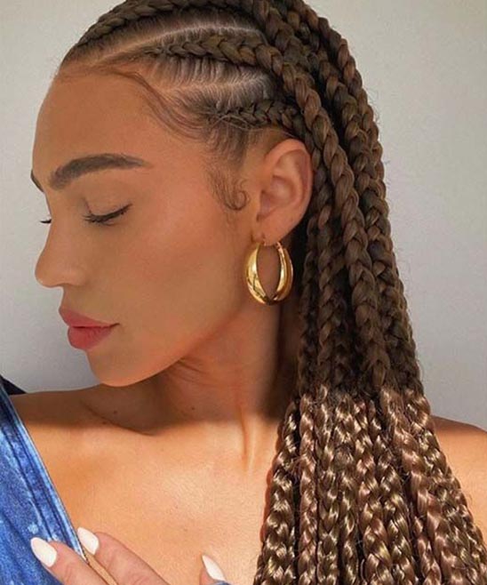 Braid Ponytail Hairstyle