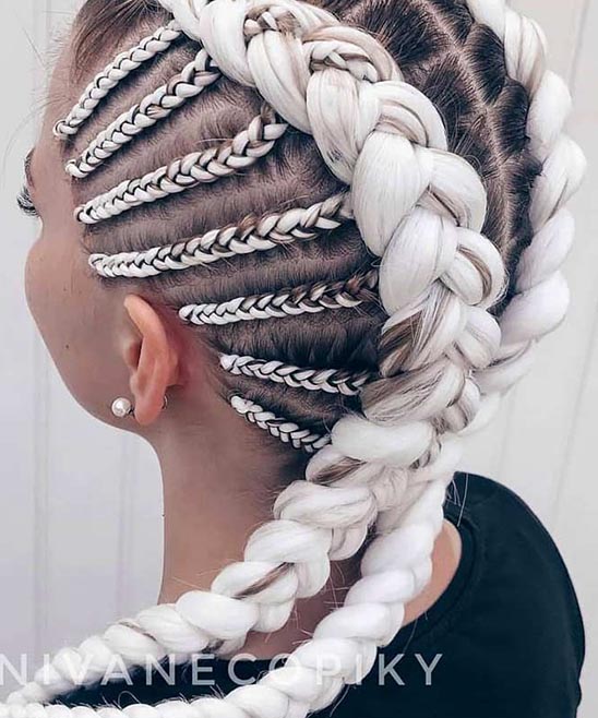 Braid Ponytail Hairstyles for Black Hair