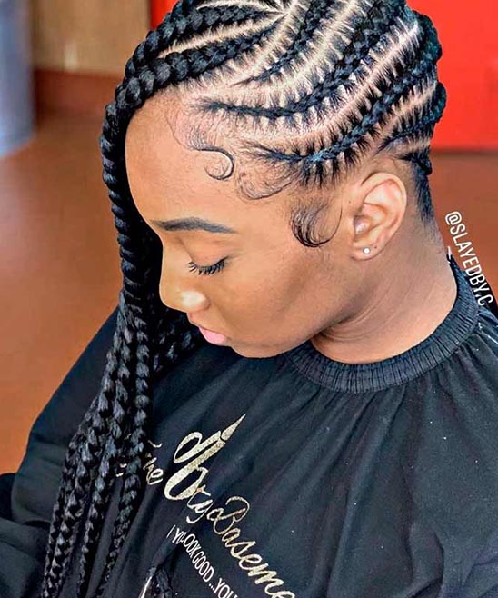 Braid Ponytail Hairstyles