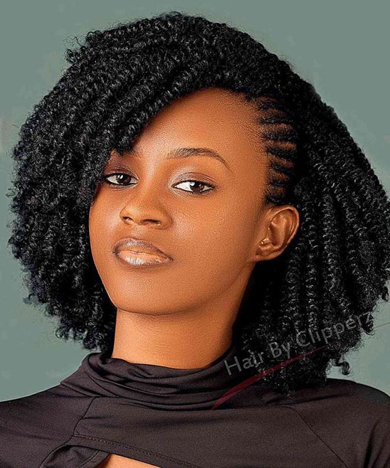 Braided Ponytail Hairstyles for Black Hair