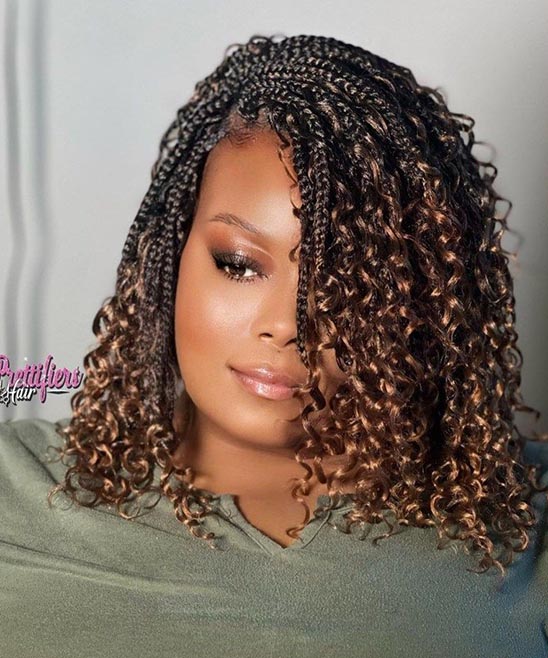 Crochet Afro Hairstyles