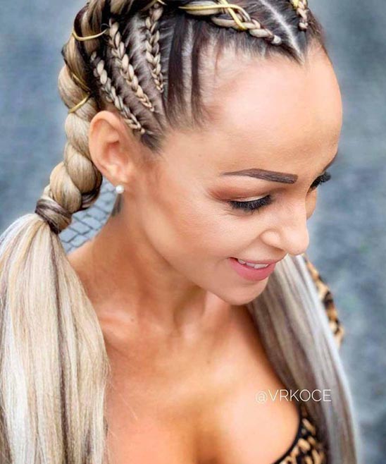 Double Braid Hairstyles