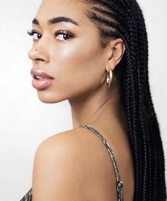 Hairstyles Braids Ponytails